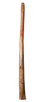 Tristan O'Meara Didgeridoo (TM412)